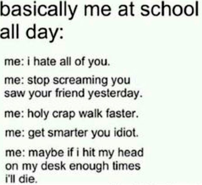 haley_bug_13's tweet image. Same