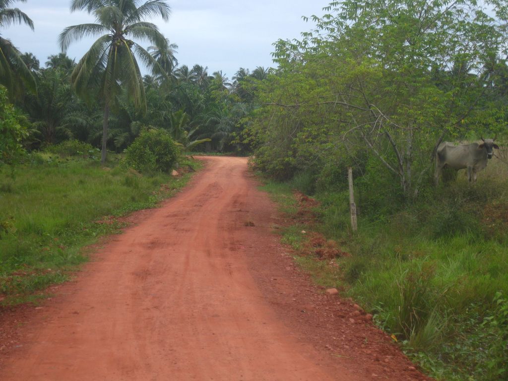 B1866London's tweet photo. Where are the bikes? https://t.co/Gf9hiTB7IA https://t.co/RbWFMpy03e