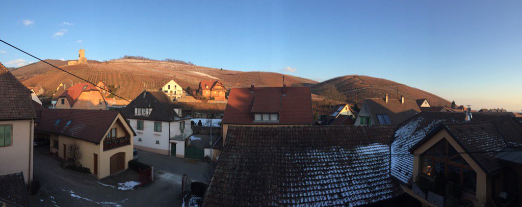 La vue depuis nos nouveaux bureaux à Katzenthal (68)