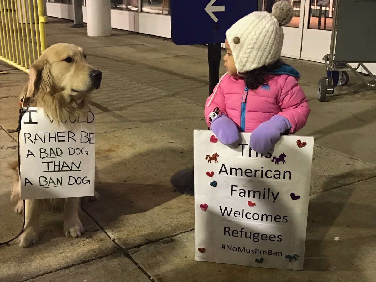 evolvingchicago's tweet photo. So proud of our furry teammate as we joined the community again for the 2nd night of protest #MuslimBan #protestchicago #NoWallNoBan https://t.co/9CmEURXPxk