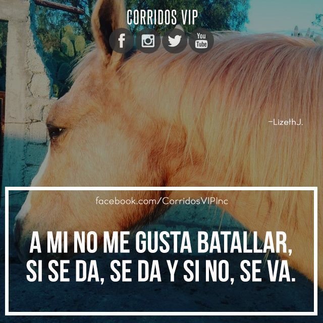 Spanish Corridos Quotes