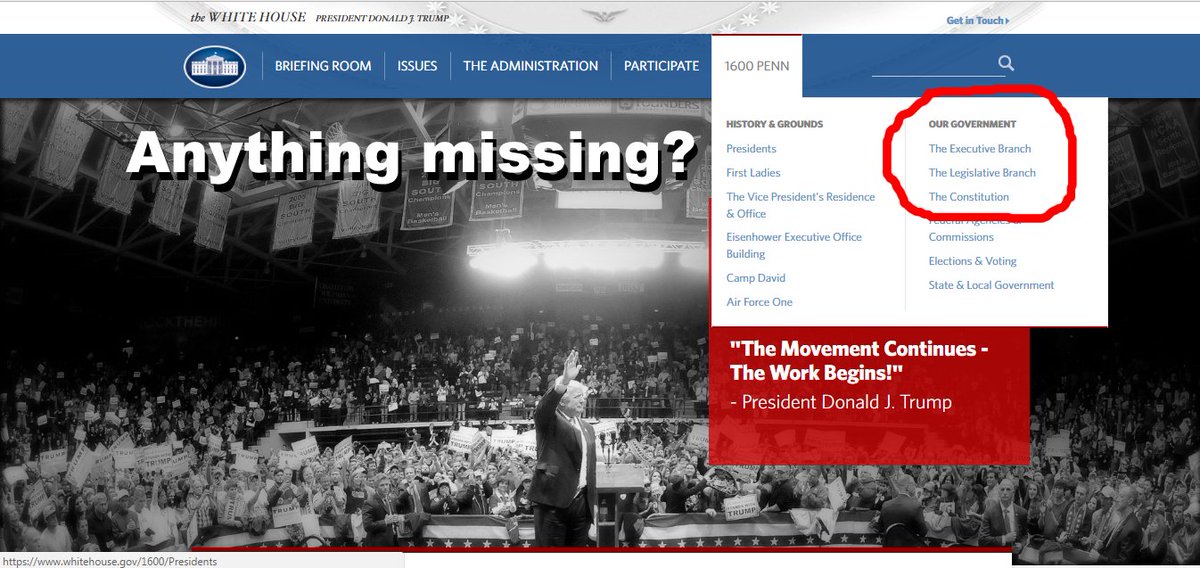 That80sJoe's tweet image. I'm pretty sure our government consists of 3 branches, or are those just #alternativefacts? #checkforyourself