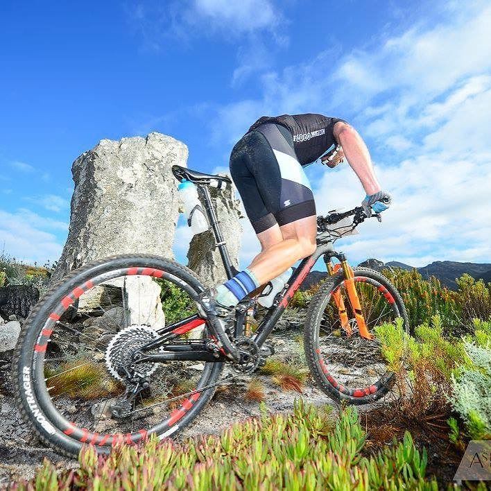 Gear Change Bicycle Store tweet media