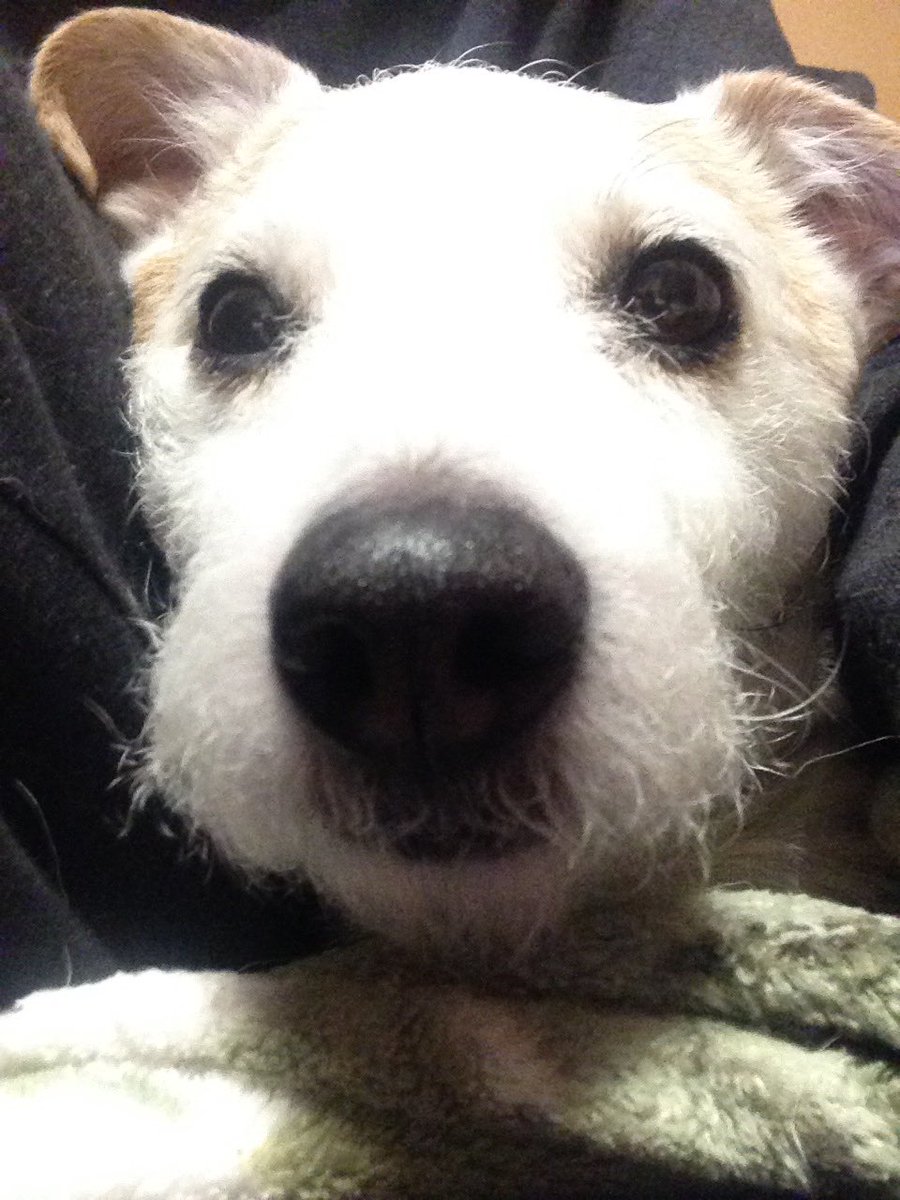 Bedtime selfie...so tired!