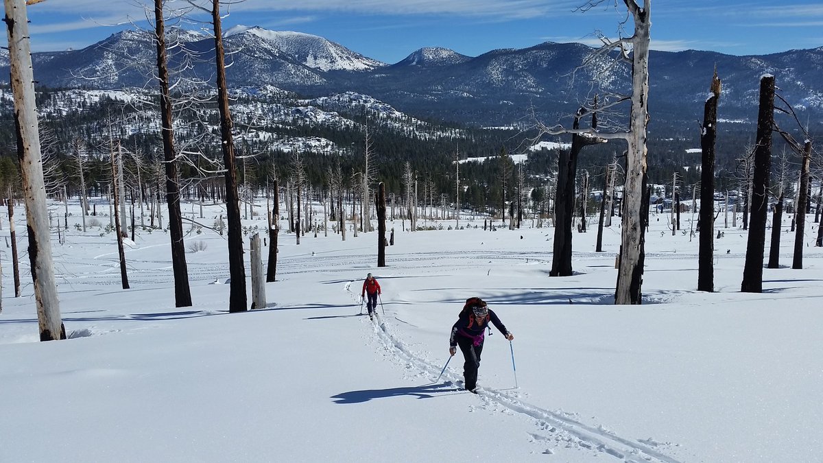 vidaraid's tweet photo. Leave you comfort zone and #explorethewilderness #testedtough #columbia_eu https://t.co/vfxwFJrmtv