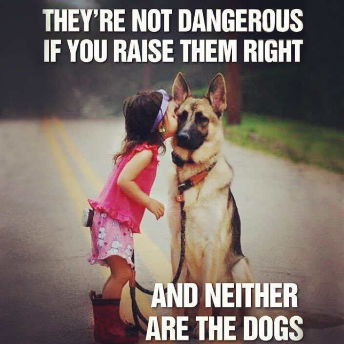 HollyBaby_Paws's tweet photo. Truth. #dogs #kids #gooddog #truth #goodkids  #girlanddog #kidanddog #raisethemright #bringthemupright #notdangerous #nobaddogs #kikiworks https://t.co/pS62PlOcyw
