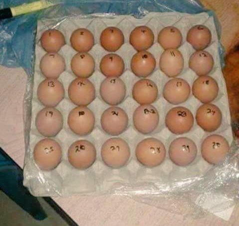 NthabisengPatji's tweet photo. #1stYearStudentDontDoIt
#1000ways to protect your food from your roommate  👇👇 https://t.co/8yo2hIqlDQ