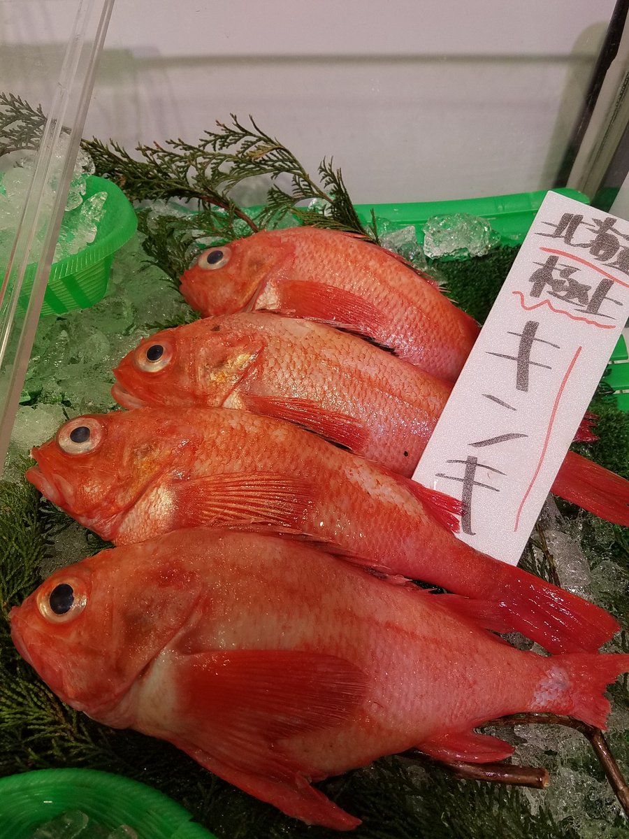 魚市 二子新地鮮魚店 魚市です おはようございます 本日の一押しです 北海道根室産 極上 釣きんき刺身 炙り刺で出ます 肝つきですよ 激安半身９８０円 お買い得お刺身３点盛り 人気の生タコ刺身 お買い得３８０円 鍋に 北海道産あんこう