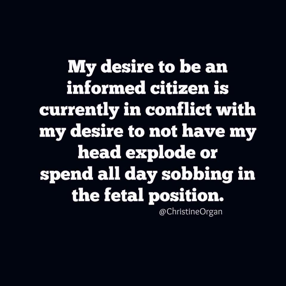 Mackenzie Steel tweet media