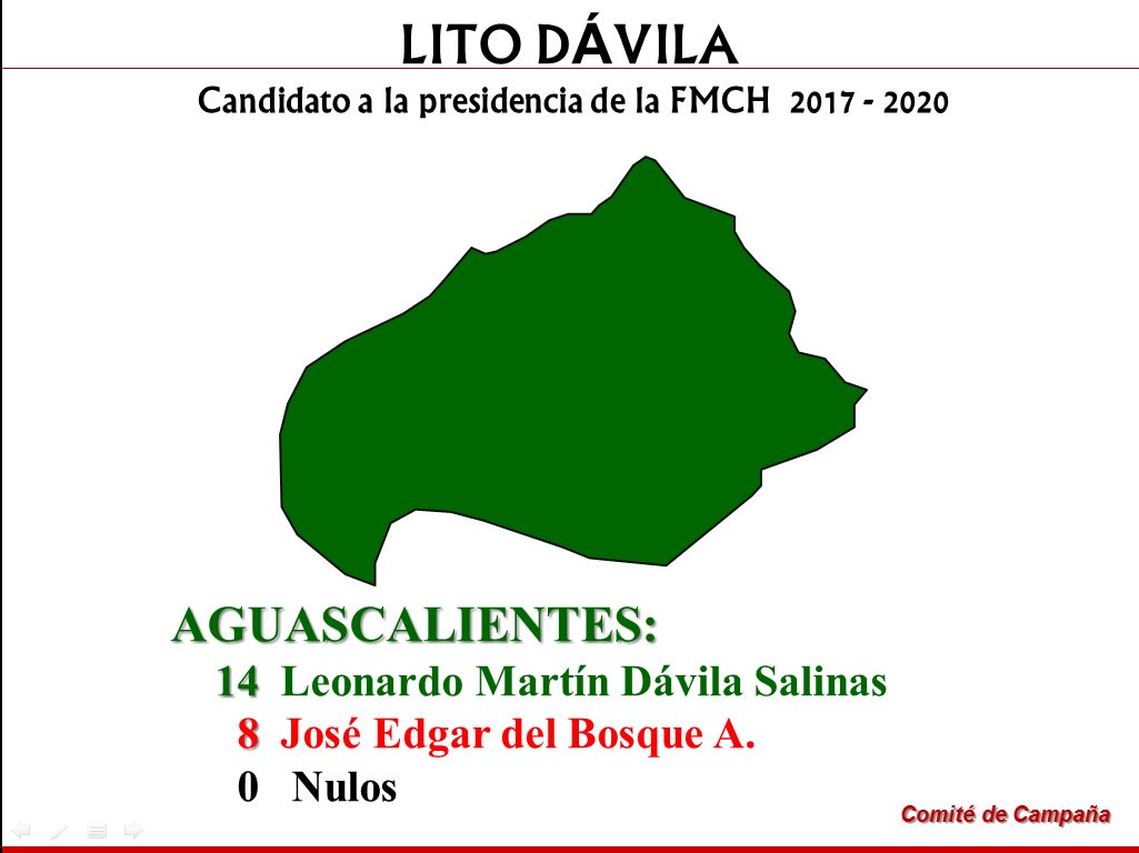 LitoPresidente's tweet photo. ¡Gracias a las asociaciones charras de AGUASCALIENTES, cuya mayoría apoyó el proyecto de Lito Dávila! #SomosMás #LitoPresidente #FMCH https://t.co/iBxrkZ5WDn