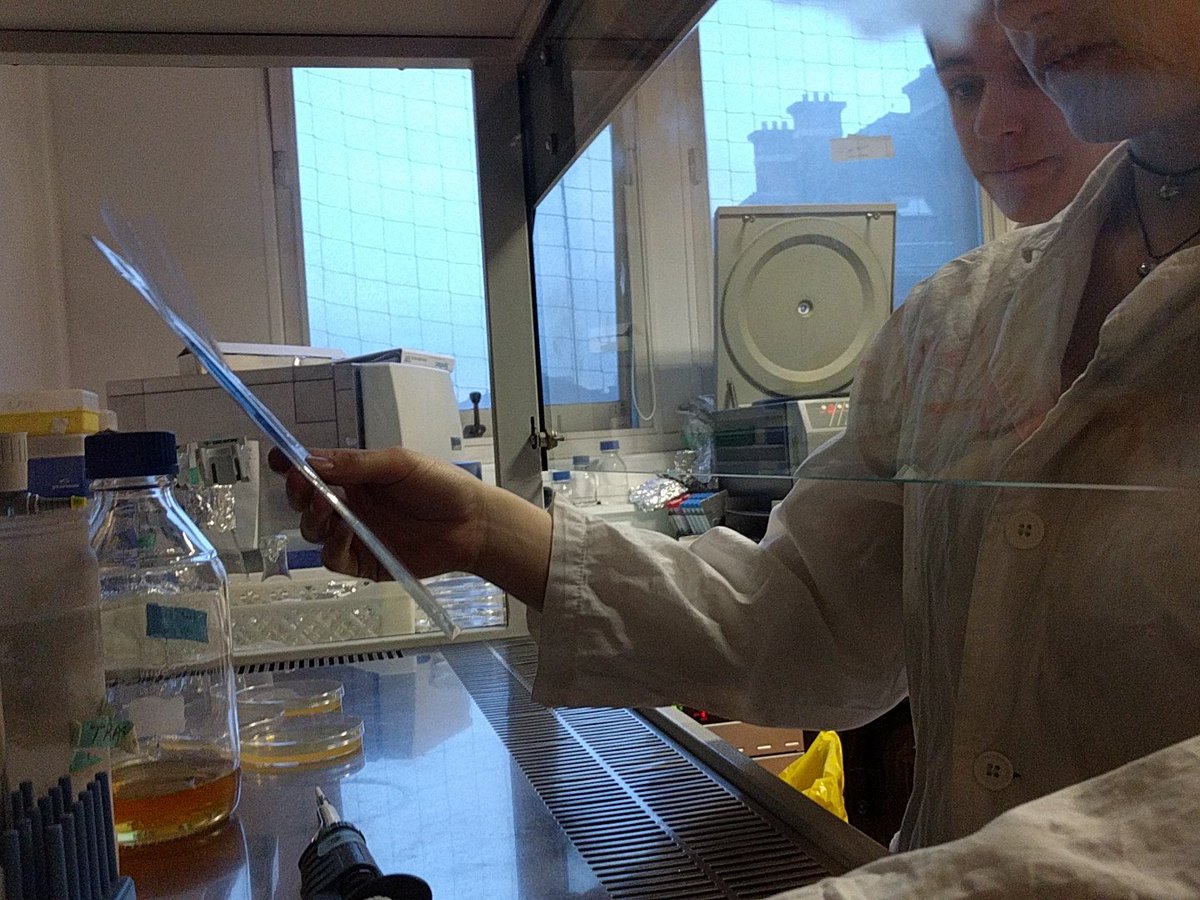 sugar_daddyeast's tweet image. Preparing timing tests and sugar solutions in the lab, to be ready for tomorrow #datacollecting #befast #beaccurate #BiosensorsFDV