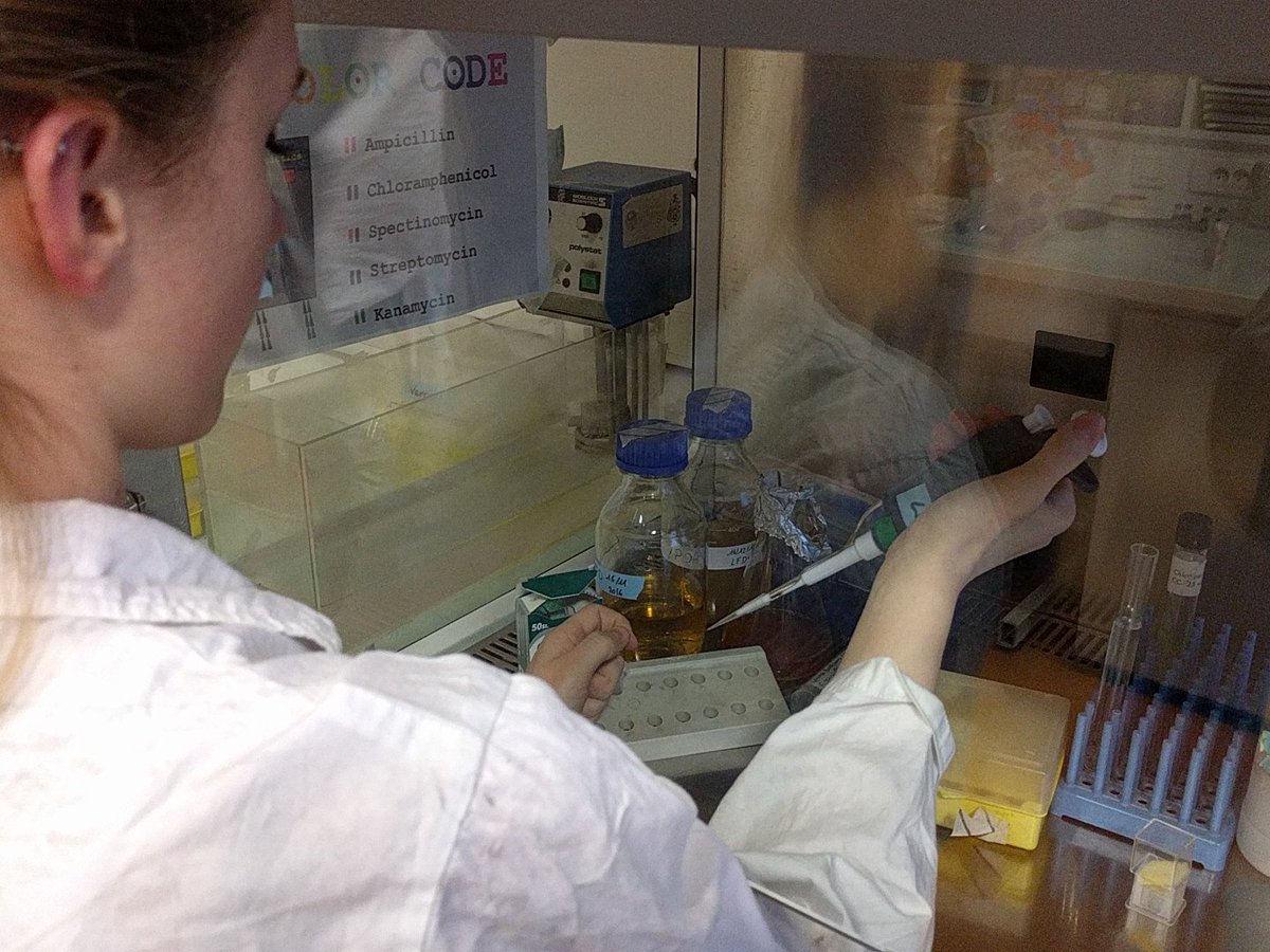 sugar_daddyeast's tweet image. Preparing timing tests and sugar solutions in the lab, to be ready for tomorrow #datacollecting #befast #beaccurate #BiosensorsFDV