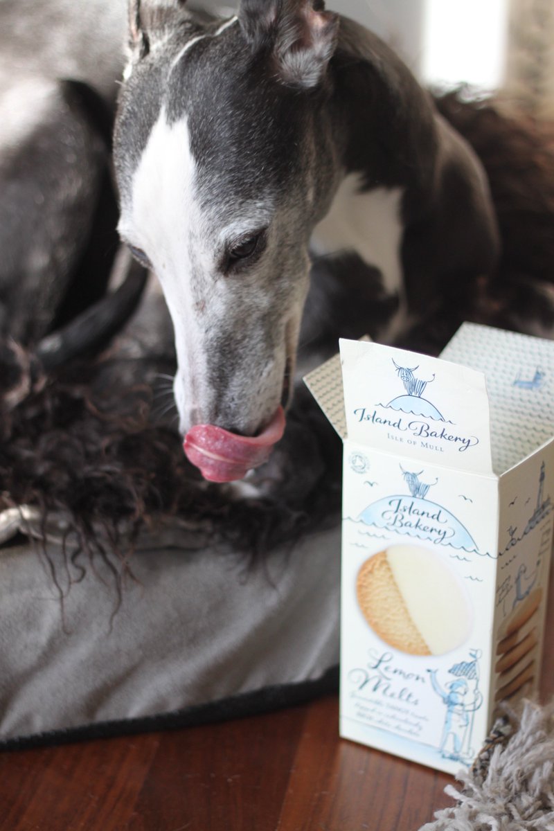 Daliwhippet's tweet photo. I do #love @islandbakery #lemonmelts ! Thanks to Joe Reade, one of the best Taster in Chief #Isleofmull Thanks @cityjet @LondonCityAir ! https://t.co/G3rbRpEVGk