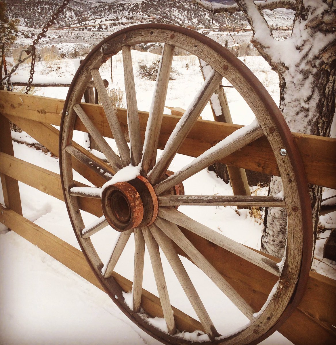 HOURS UPDATE: We'll be CLOSED this week, Wed. &amp; Thurs., Feb. 8-9, while our staff of garden and landscape experts attends the ProGreen EXPO.