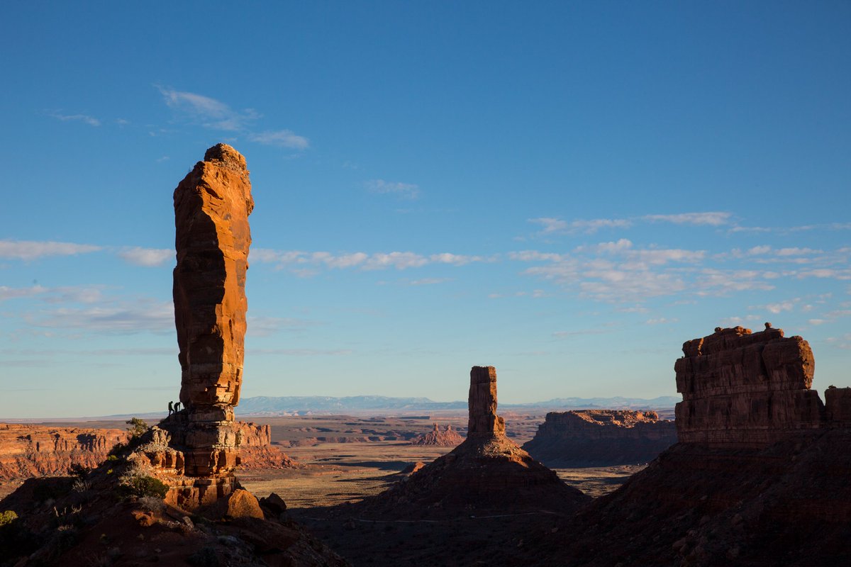 patagonia tweet picture