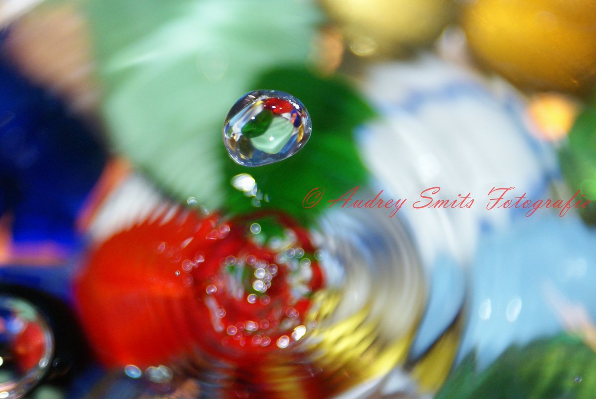 ImageIsFantasy's tweet image. #ImageIsFantasy
What do you see?
#water #druppel #fotography