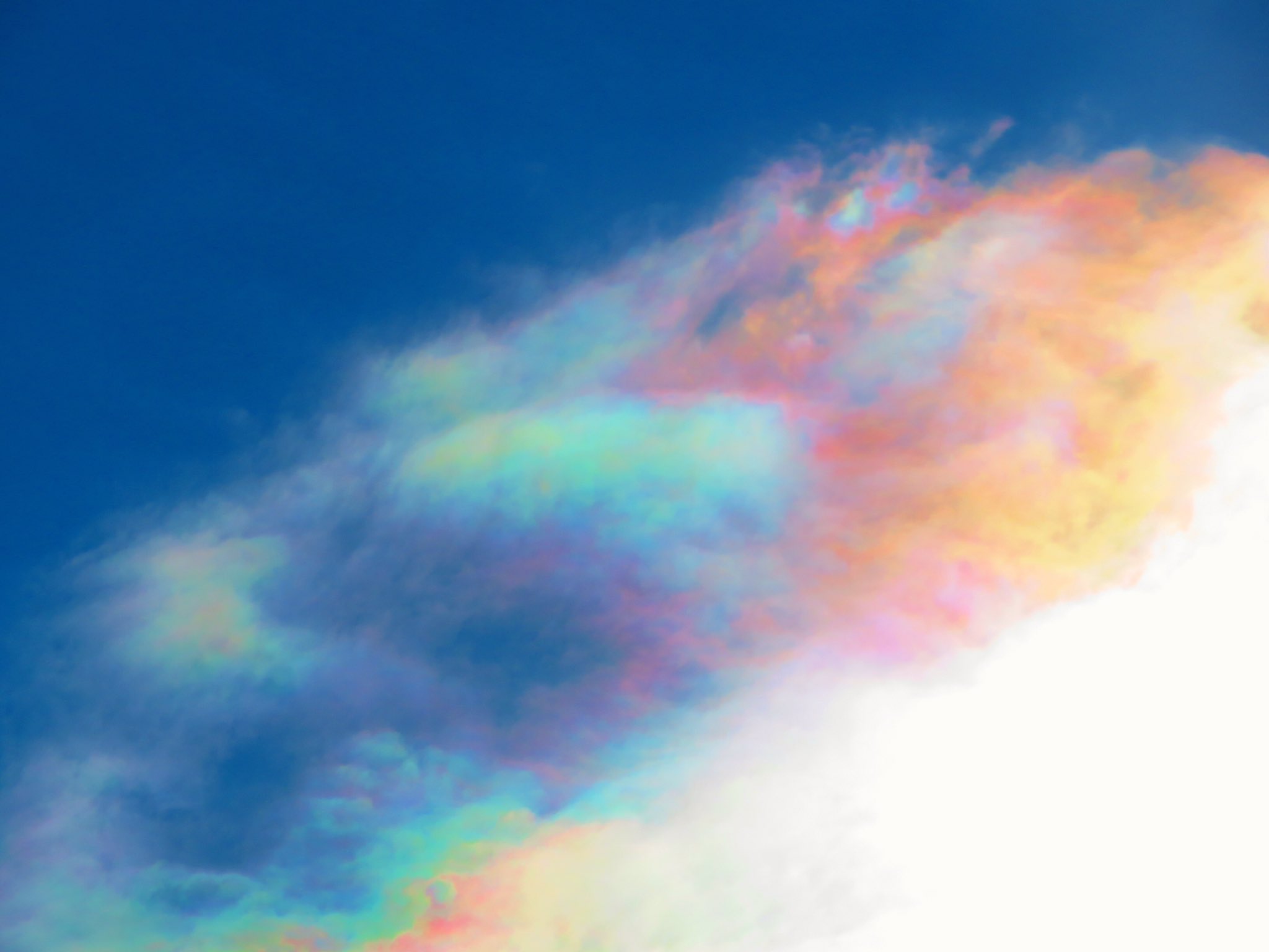 ◆空◆荒木孝介 直送 新品 SM【パステル・色鉛筆等】◆丁寧梱包◆風景画 雲 みずみずしい空。 #雲 #雲スタグラム #雲が好きな人と繋がりたい