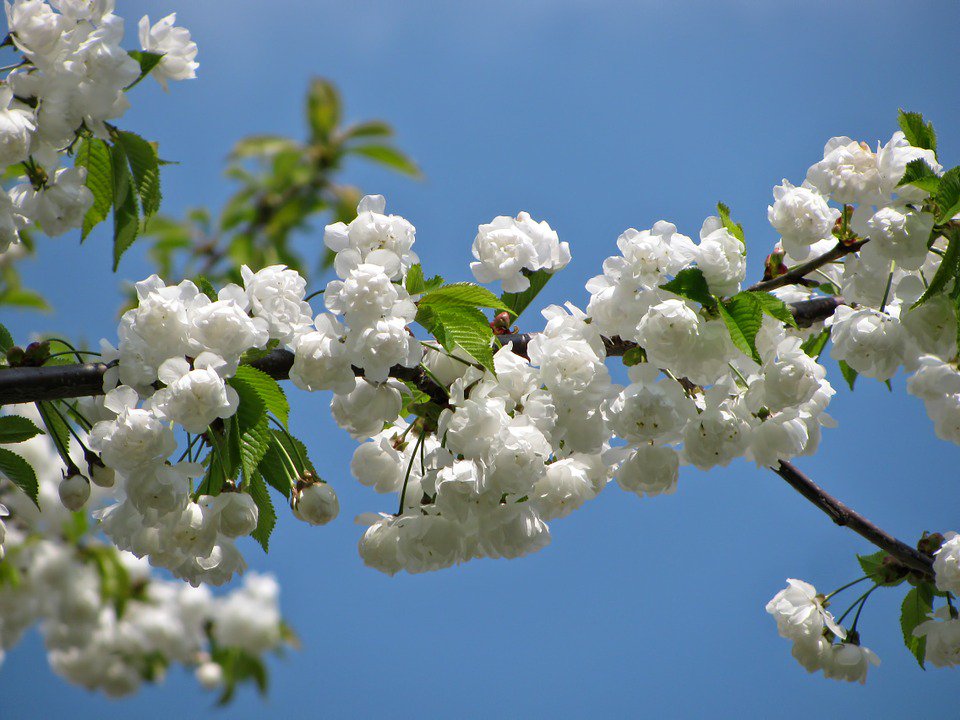 stefy8842's tweet photo. #inizioA sentire aria di #Primavera https://t.co/ZtjS09Q2oy
