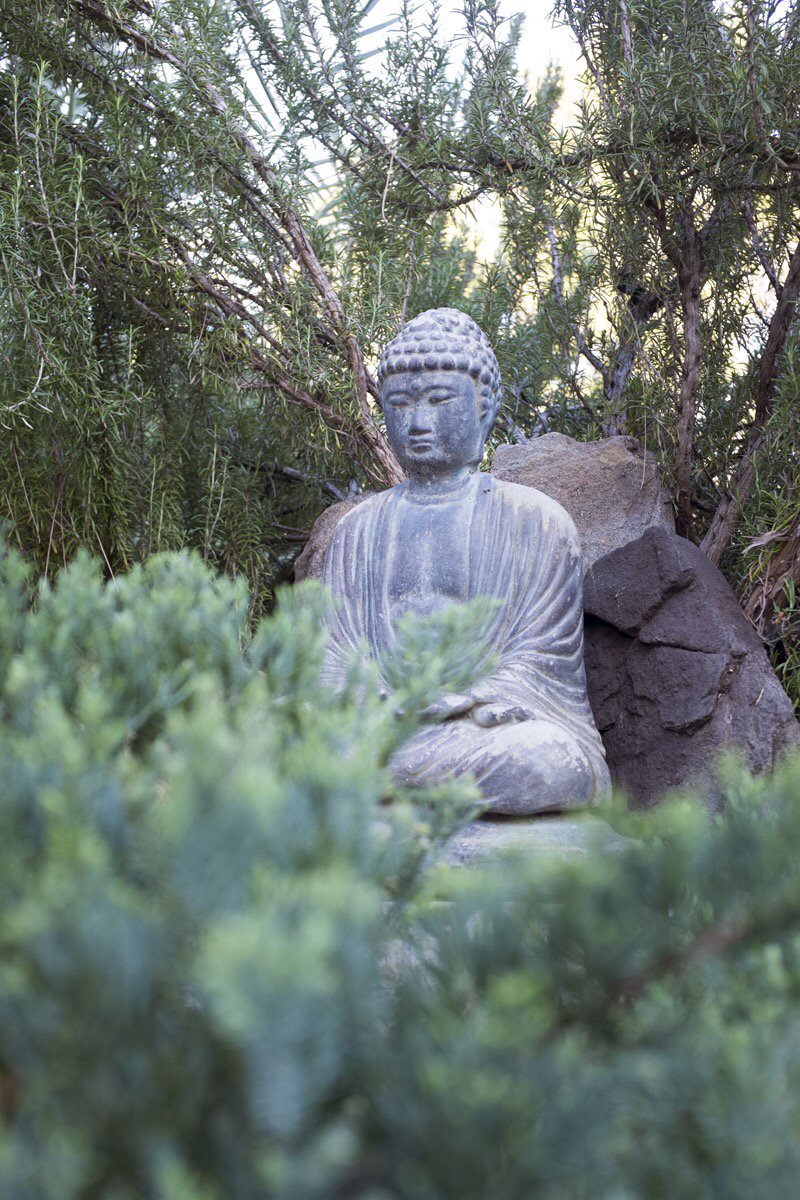 thichnhathanh's tweet photo. As busy as we are, when we take the time to look a little bit more deeply, we can always find more understanding and compassion to offer. https://t.co/3LENW8mOiy