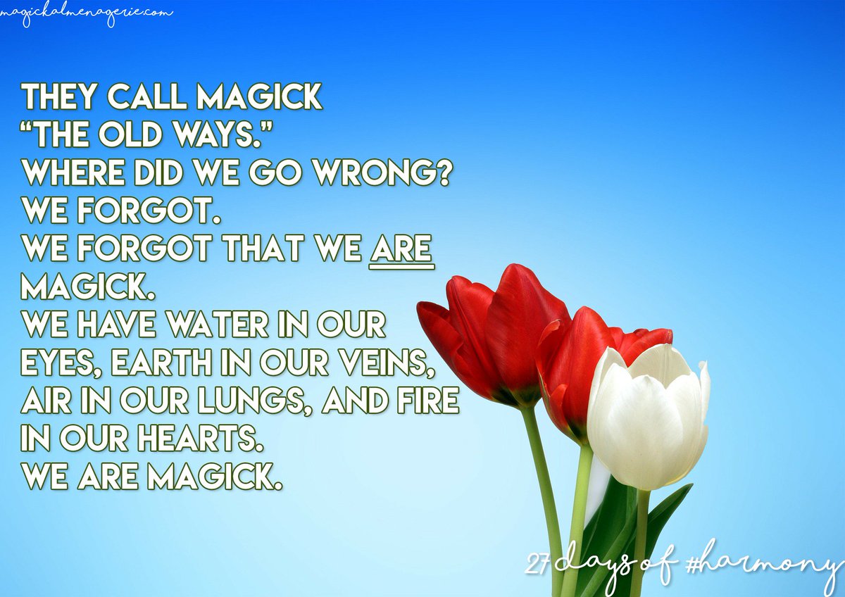 MagickMenagerie's tweet photo. You are #magick You are #beautiful #loveandlight from us at MM to you <3 
https://t.co/nqhUT8ifve https://t.co/4RnxpTlfXC