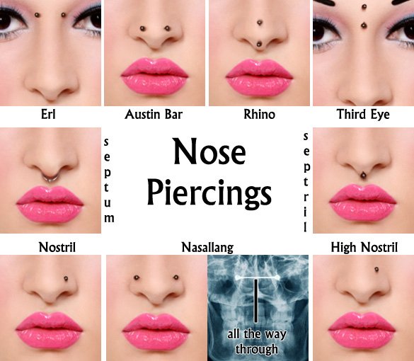 Nose Piercing on X: #piercing #body #piercings #pierced #jewelry