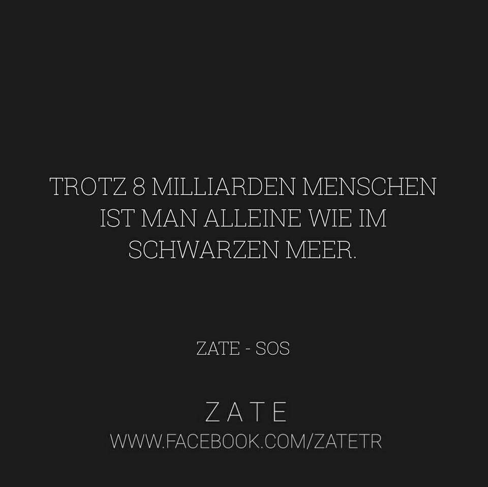 Pessitheus's tweet image. 