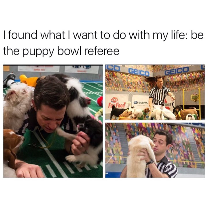 MensHumor's tweet photo. Career goals. https://t.co/ScyvziQALX