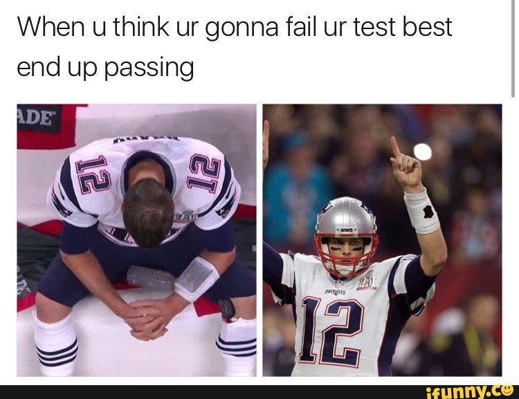 RunsWithOtter's tweet photo. First meme I saw today. We told you Arn. @HaleySnyder2 https://t.co/6CoyHkLAVr