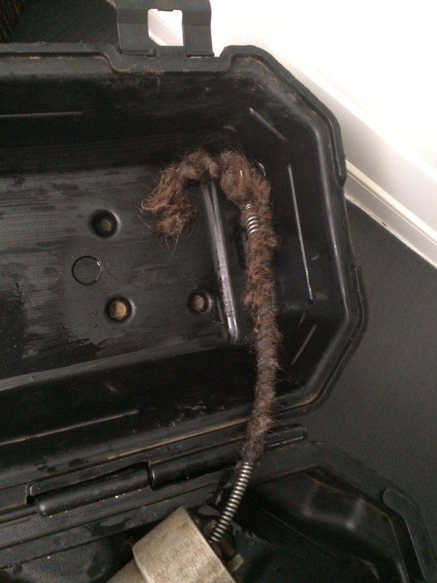 FlashRooterON's tweet photo. You know this is Happening in your tub drain right now!!! https://t.co/HEIE6HlzgO