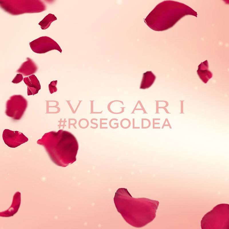 BlvLaura's tweet photo. #ROSEGOLDEA FOR VALENTINES https://t.co/d5a58gdJkZ