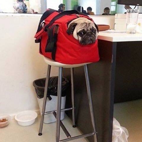 AzurePanzu's tweet image. Most unreal weekend ever