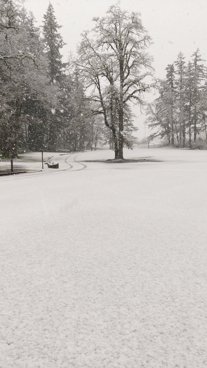 jayjaypee2012's tweet image. 