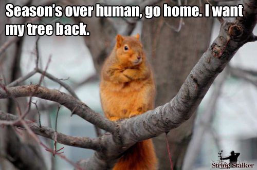 #ohpto #adamscountyohio #deerseason2106 #huntingseason #hunter #huntress #nature #squirrel #tree #treestand #woods #gohome