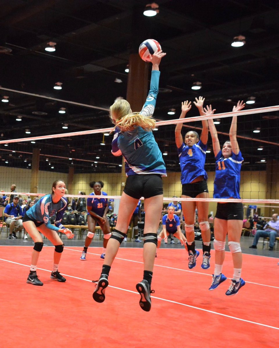 Optimum Volleyball tweet media