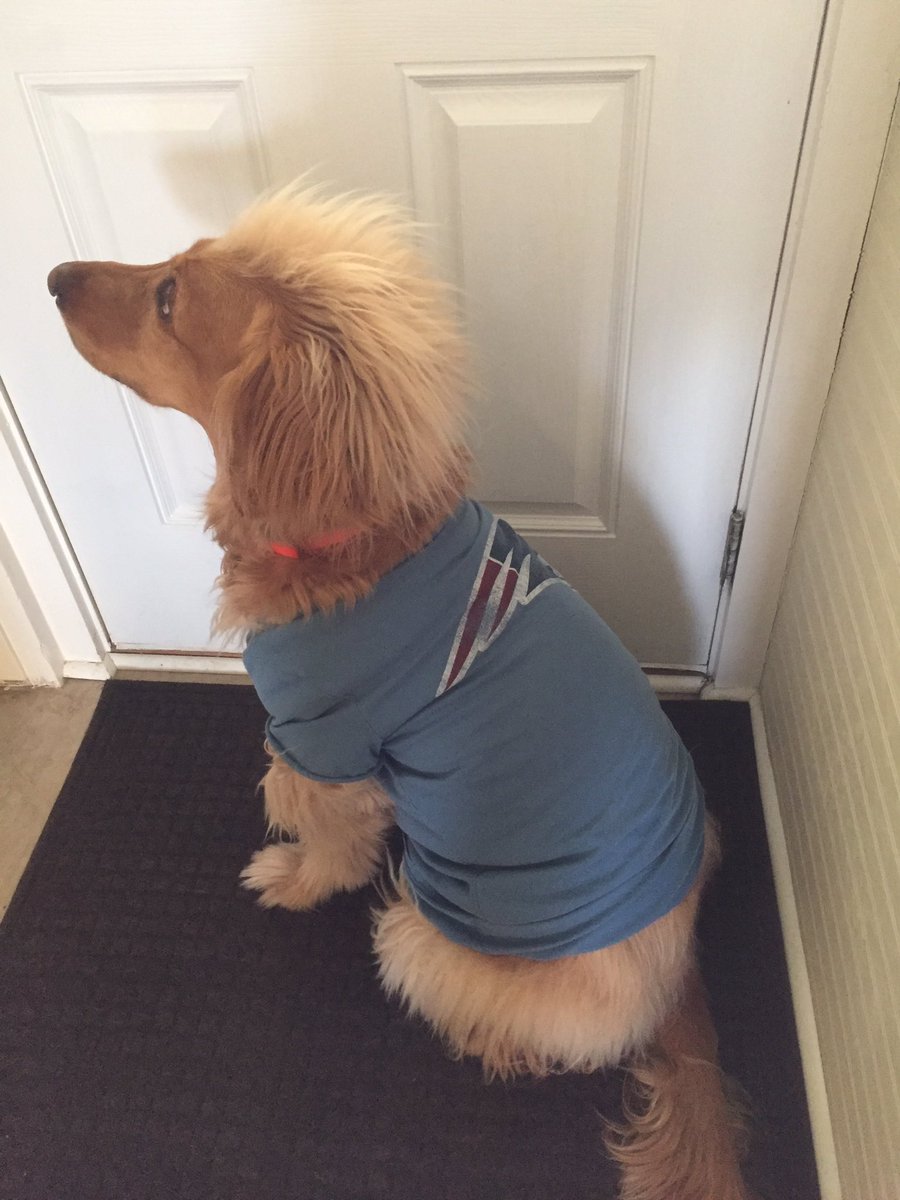 konadms's tweet photo. Phew, heck of a #win @patriots https://t.co/wWbwjEAipr