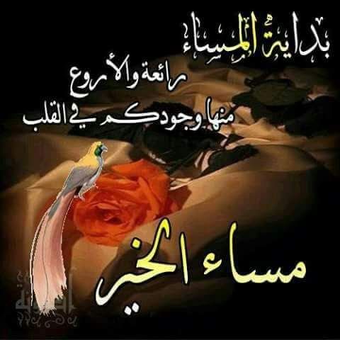 Love alwardi tweet media