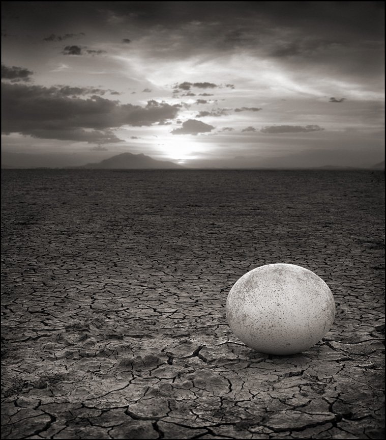 AGalerieParis's tweet photo. #LaPhotoduJour : “Abandoned Ostrich Egg, Amboseli 2007” by #NickBrandt #AGalerieParis #Onthisearth #Ashadowfalls #Acrosstheravagedland https://t.co/1CJ2KkKQ1Y
