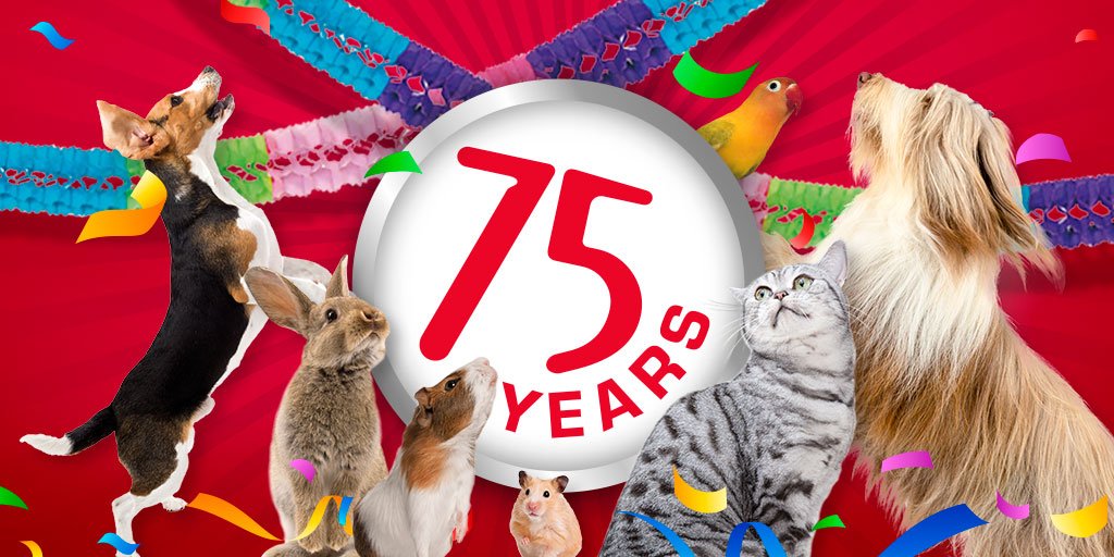 Happy Birthday to us! Did you know that our very first products were pudding? Quite the change since then!