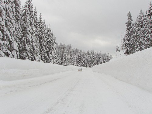 SVTbus's tweet photo. Heavy Snow: SVT Updates https://t.co/YEHRf6ZKNi https://t.co/IW2sCrNlIn