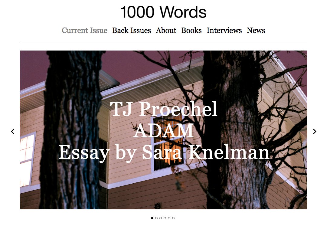 1000 Words tweet media