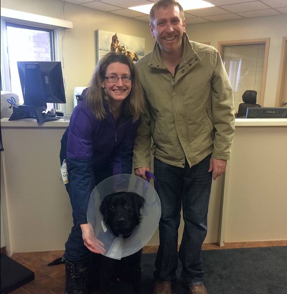 London Animal Care tweet media