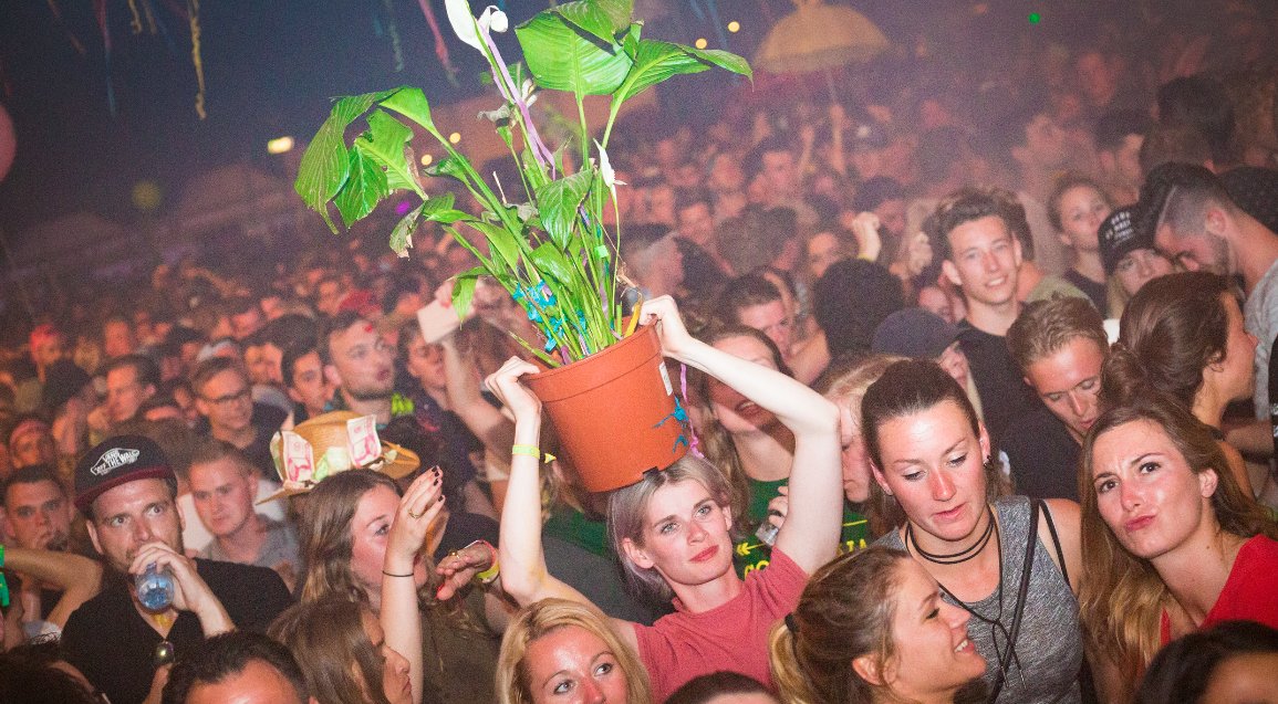 Solar Weekend tweet media