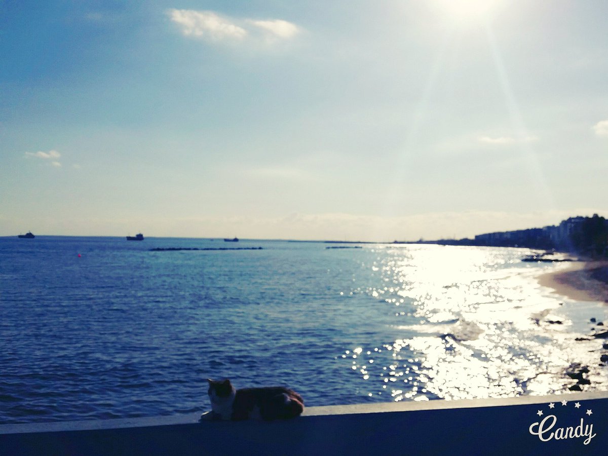 giannismour's tweet photo. Under the sun of #Limassol @visitcyprus @CyprusToday #CyprusRt #Cyprus https://t.co/FjlZgIaCmU