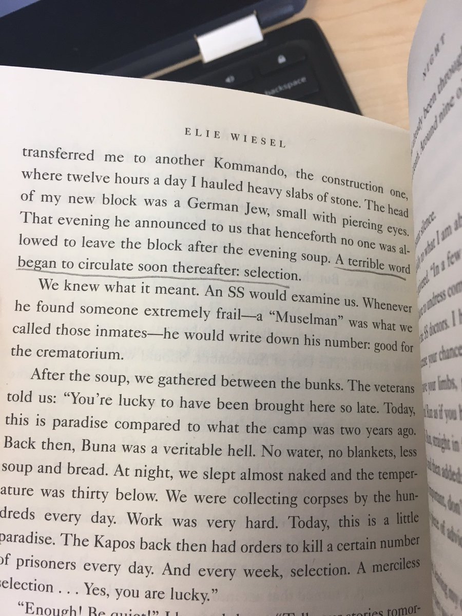 gfer14380's tweet photo. This may mean nothing to us, but to Ellie it's a big deal, a frightful thing. #bronke2 https://t.co/Arwfn1LN9N