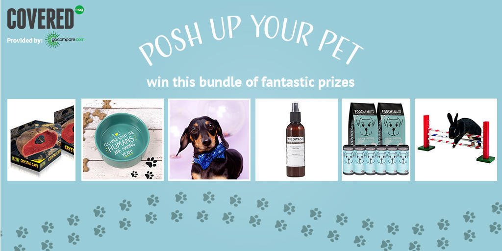 covered_mag's tweet photo. We love to pamper our pets! For a chance to #Win follow and tweet a pic of your pet using #PoshUpyourPet T&amp;Cs apply https://t.co/U5VpEIlPhx https://t.co/4XwOjnz544