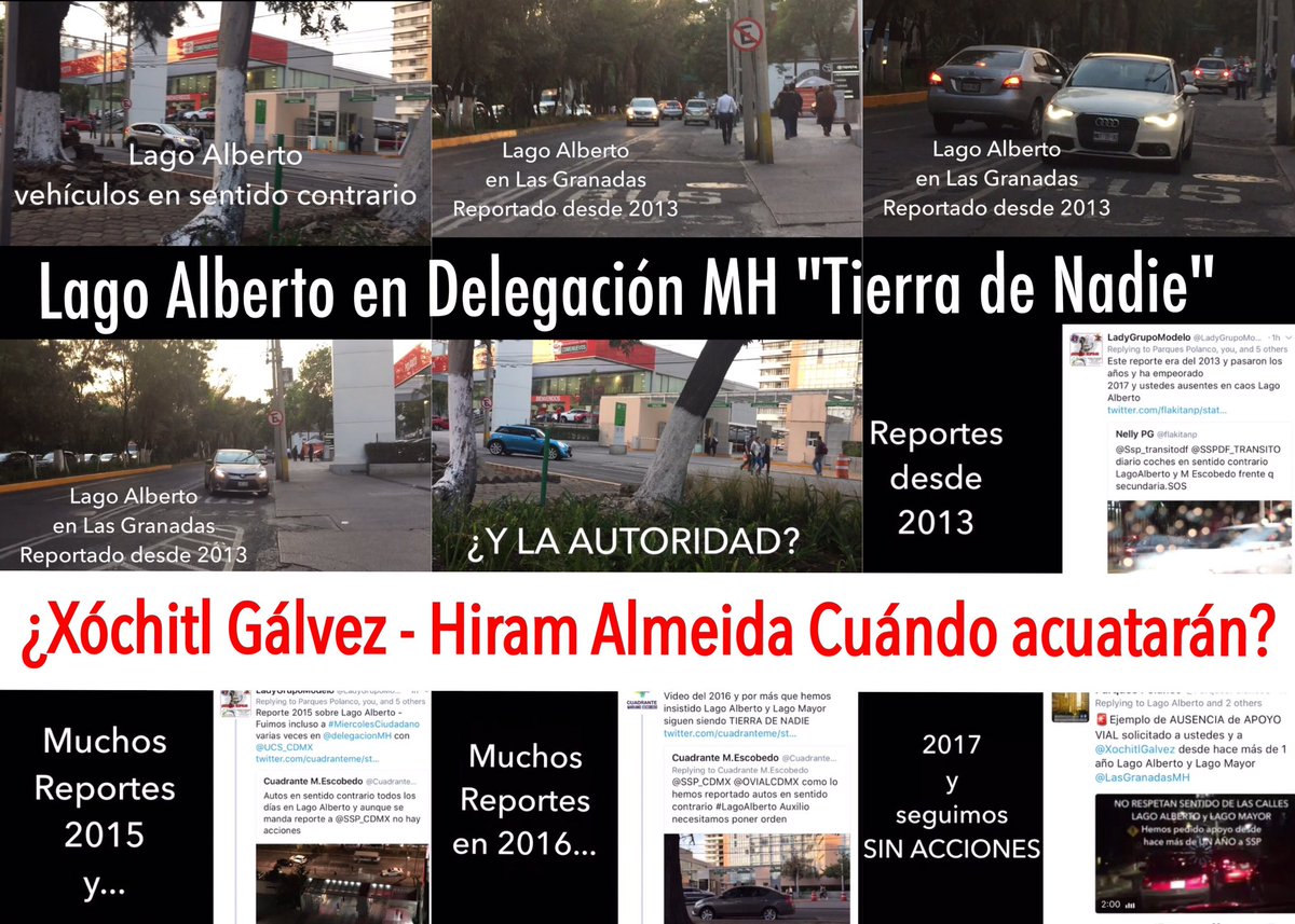 #LagoAlberto 🚴🏻‍♂️🌳 tweet media