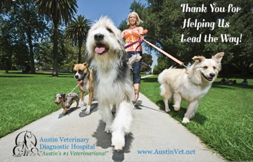 Austin_Vets's tweet image. Thank You for Helping Us Lead the Way! Get to know our newest veterinarian, Dr. Sarah Kneupper bit.ly/DrSarahK #austinvet #pet #vet