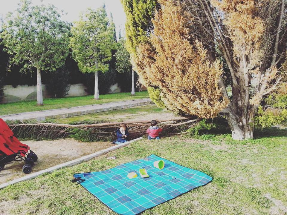 canclaueducacio's tweet photo. El vent que ha bufat aquests dies ha tombat la rama d'aquest arbre. La natura ens ha permès observar-la de ben a prop #marededia #natura https://t.co/lGYuEvOF80