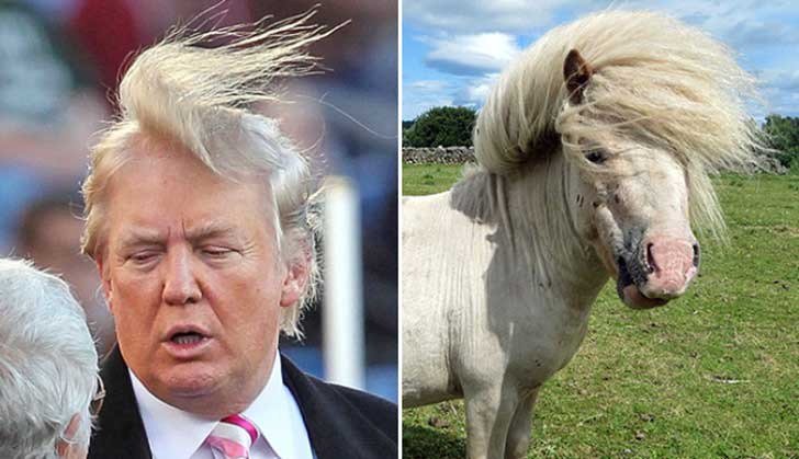 DonaldTrumposin's tweet photo. #Cámbiame388 ¿cómo veis mi look potro salvaje"? https://t.co/2QxW8onexi