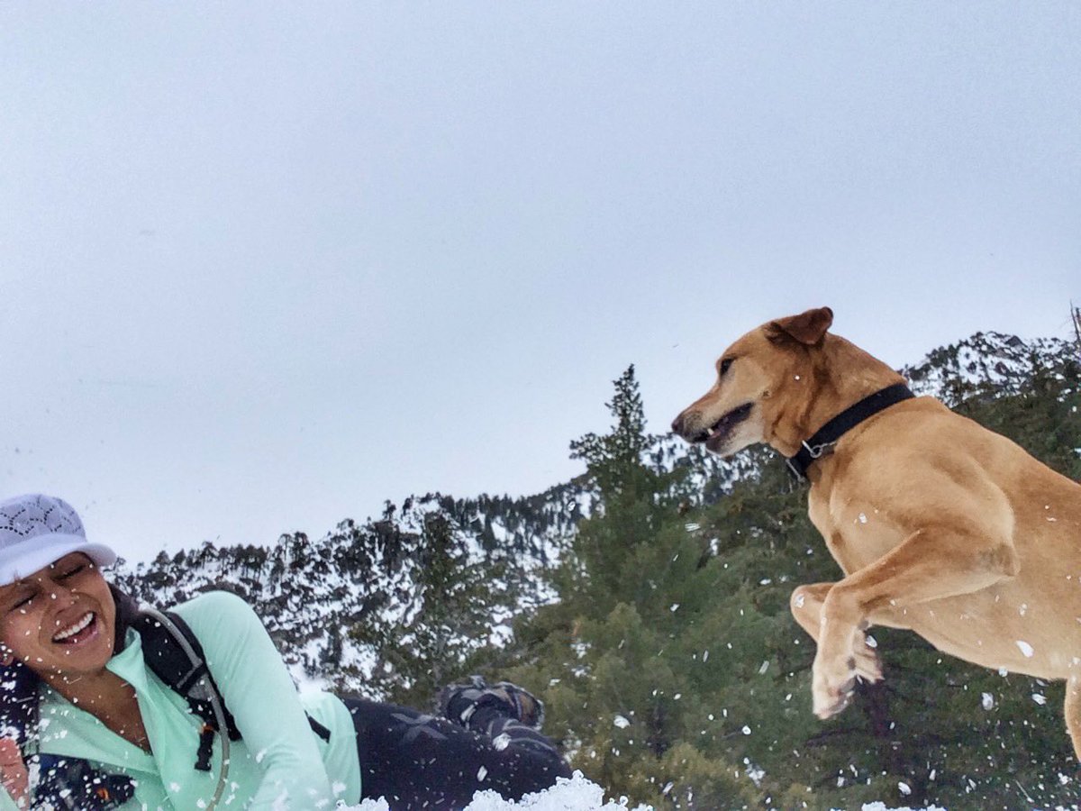 IrongirlNadia's tweet image. The soul heals with play. The spirit heals with laughter. #orangemud #2xu #2xucompression #yaktrax #agirlandherdog